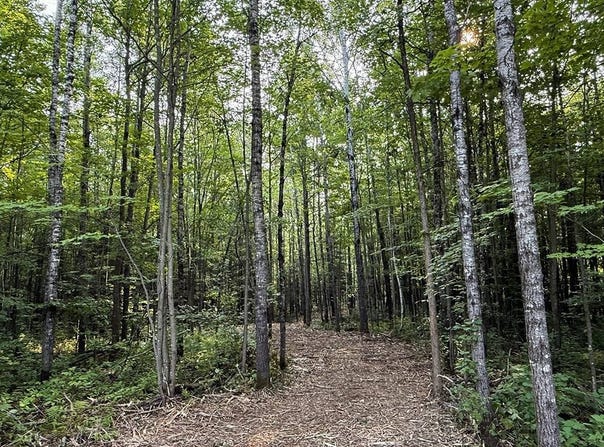 2 County Highway C, Couderay, WI 54943