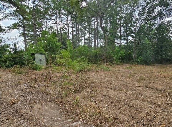 Lot B - Vining Road, Amite, LA 70422