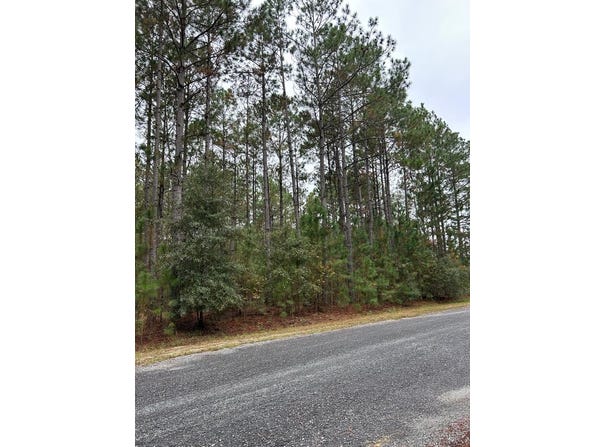Whispering Pines Dr lot: 19, Rochelle, GA 31079