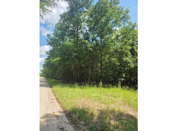 Tobias Rd, Sardis, GA 30456