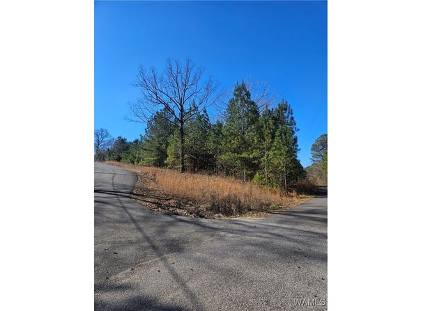 20136 Molly Trace, Woodstock, AL 35188