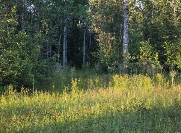 S Bound Rd, Rudyard, MI 49780