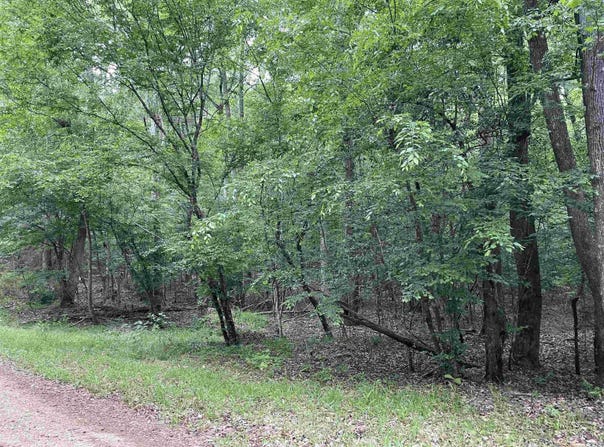 Melanie Lane, El Dorado, AR 71730