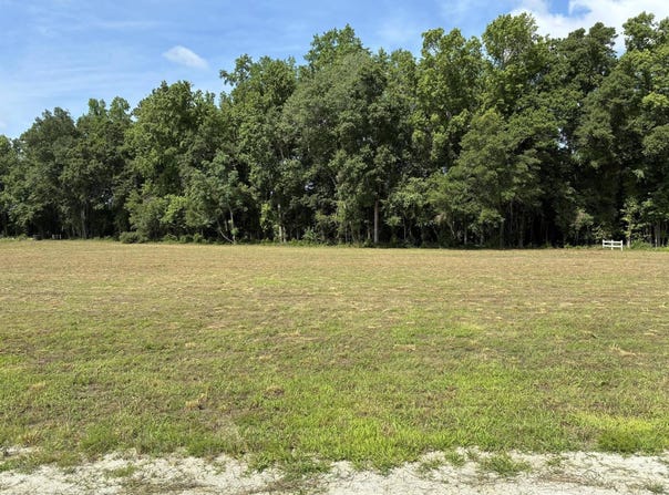 425 Wiggins Estates Lane, Holly Hill, SC 29059