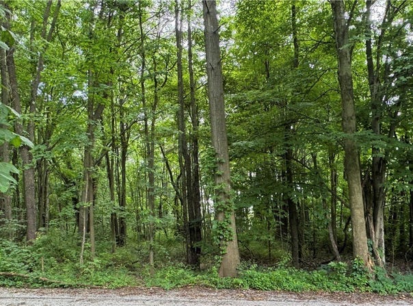 Aston Avenue, Akron, OH 44319