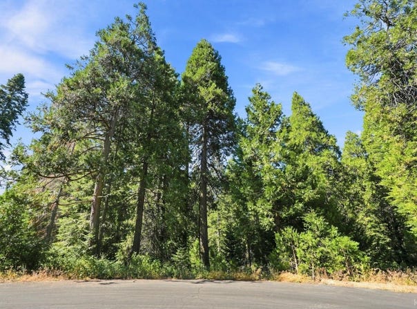 Foxglove Lane, Shaver Lake, CA 93664