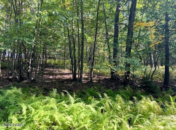 Squirrel Road lot: 427, Dingmans Ferry, PA 18328