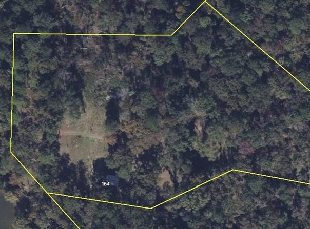 164 Griffith Drive, Ft. Gaines, GA 39851