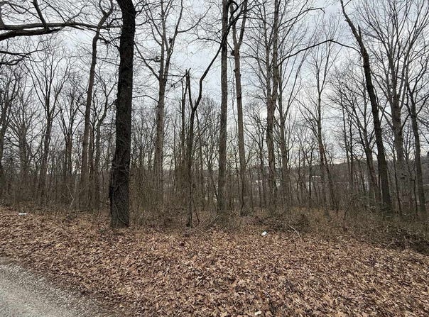 0 Pitcher Road, Morgantown, KY 42261