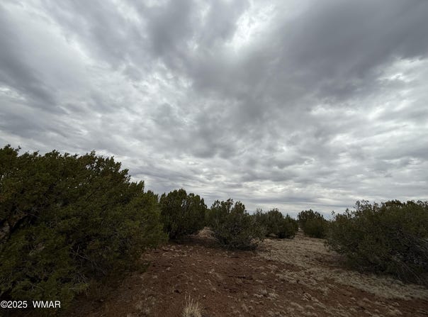 149 County Rd 8057, Concho, AZ 85924