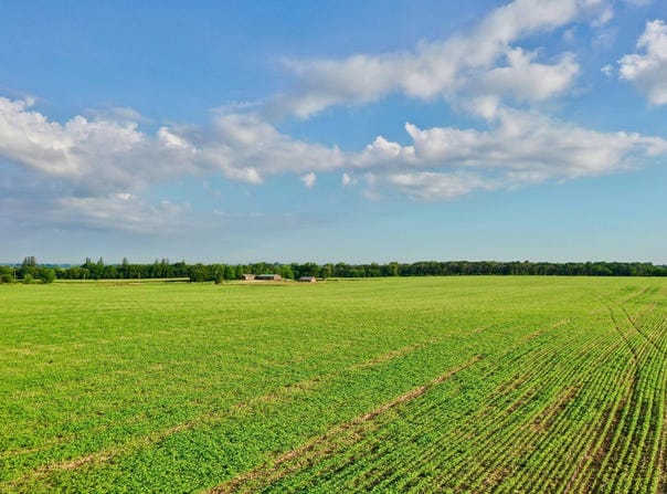 TBD Hwy 14, Allison, IA 50602