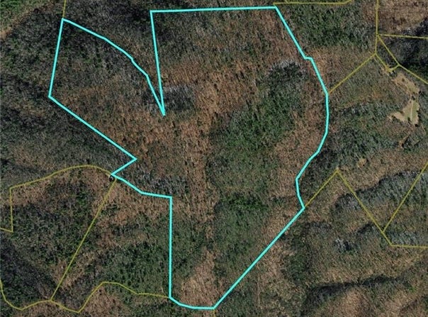 Vannoy Road, McGrady, NC 28649