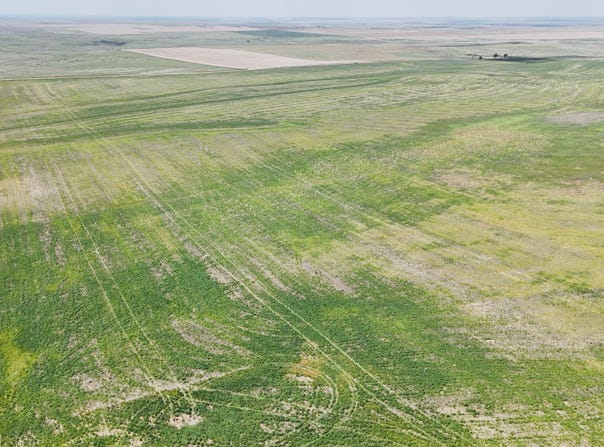 Co. Rd. 14 and Co. Rd. H, Saint Francis, KS 67756