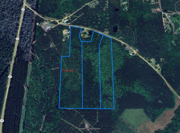 23.01 ACRES, Purvis, MS 39475