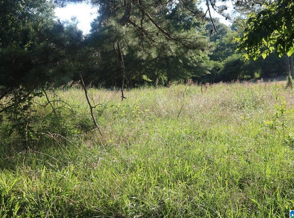 174 POPLAR SPRINGS DRIVE lot: 1,2,3, SYLVAN SPRINGS, AL 35118