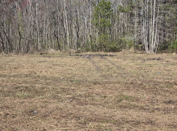0 Drain Road, Smoaks, SC 29481