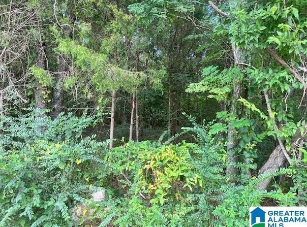 3080 EASONVILLE ROAD, PELL CITY, AL 35128