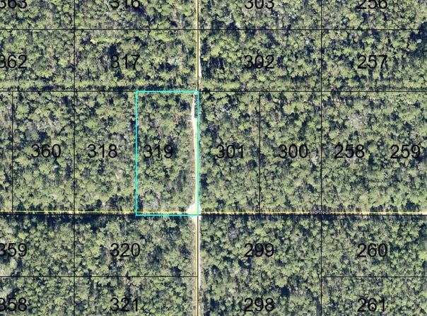 319 TIPPIN Street, HASTINGS, FL 32145