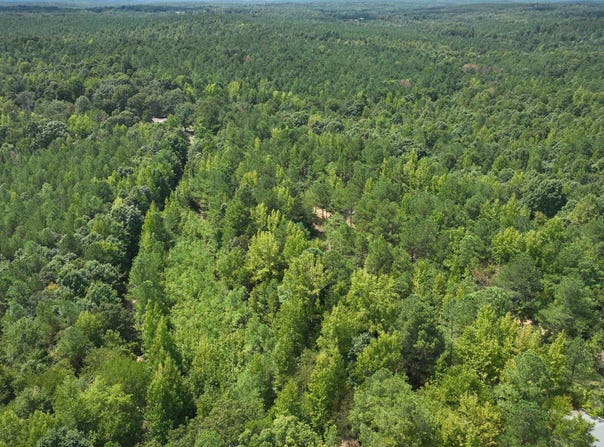 00 DOUGLAS ROAD, BEAVERTON, AL 35544