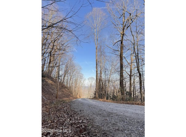 16 & 17 Ridgecrest Drive lot: 16 & 17, Lake Lure, NC 28746