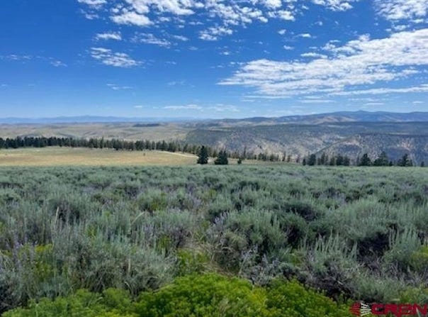 924 Cinnamon Trail, Powderhorn, CO 81243