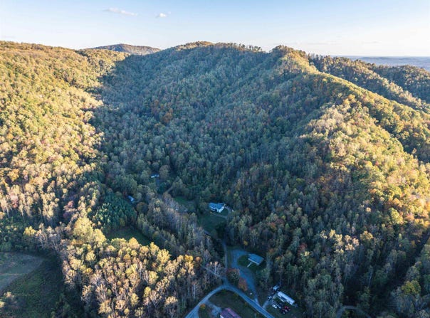 PEACEFUL LN, LOVINGSTON, VA 22949