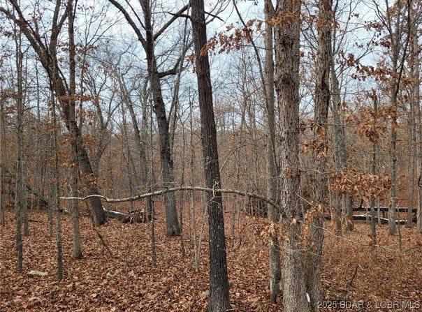 Dunn Drive, Edwards, MO 65326