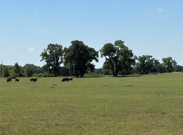 2966 Highway 679, Gorman, TX 76454