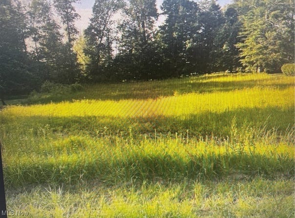 2640 Red Fox Drive, Duncan Falls, OH 43734