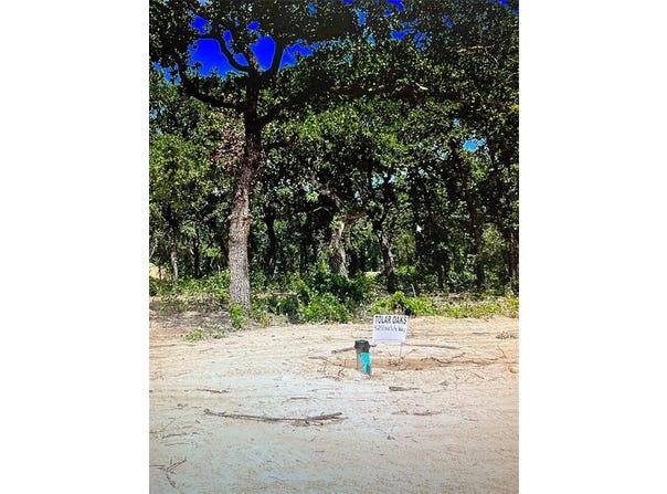 460 Peace Lily Way, Tolar, TX 76476