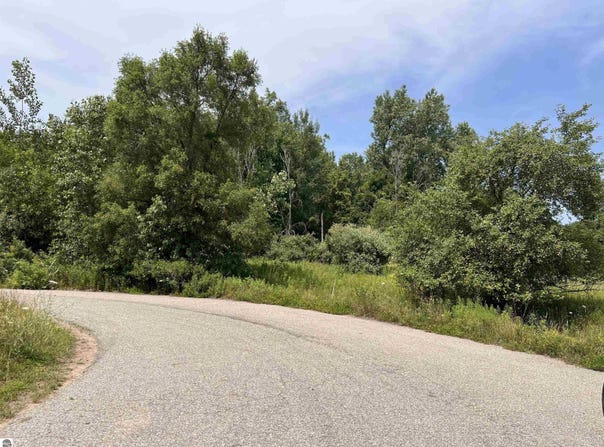 Lot 11 McDonald Drive, Mt Pleasant, MI 48858