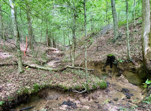 00 Coal Branch Road, Beattyville, KY 41311