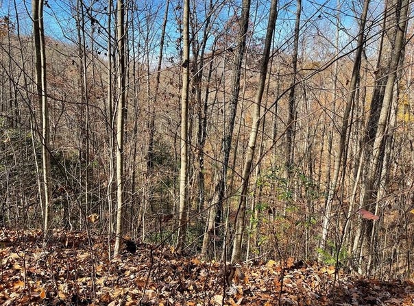 Lot 49j Indian Trail, Hayesville, NC 28904