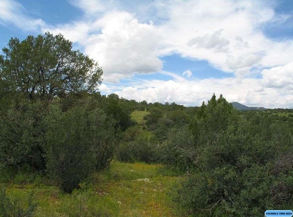 Tract C XYZ Ranch Road, Silver City, NM 88061