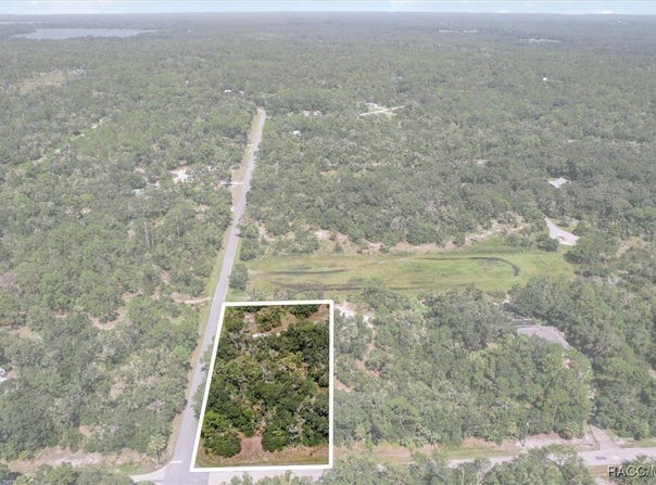 9597 N Alder Avenue, Crystal River, FL 34428
