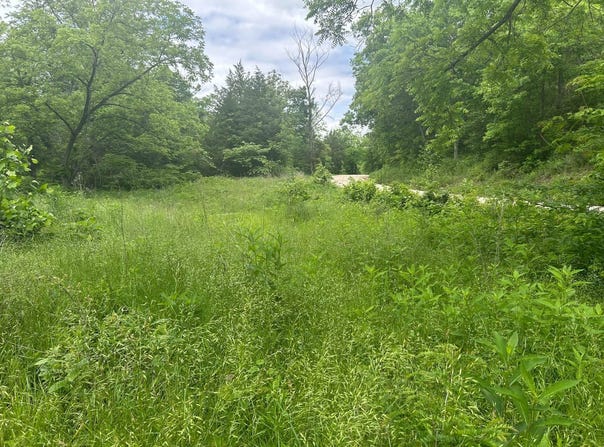 5025 Kolb Hollow Road, Climax Springs, MO 65324