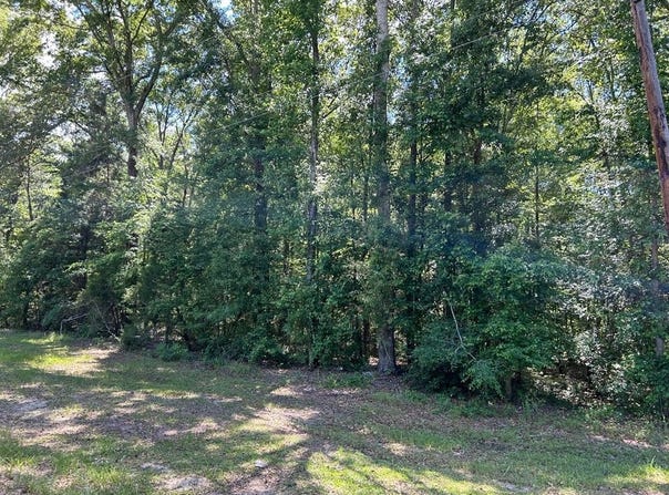 4 Ac Industrial Dr, Abbeville, GA 31001