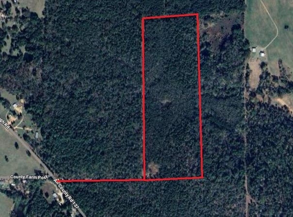 000 An County Road 137 RD, Elkhart, TX 75839