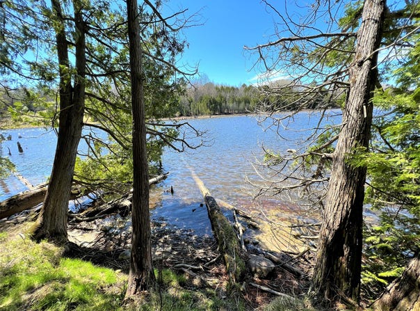 Off River Edge Drive, Cheboygan, MI 49721