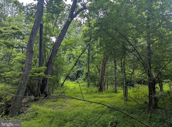6.1 and 1.57 Acres CHESTNUT HILL ROAD, HARPERS FERRY, WV 25425