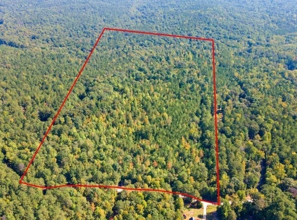 0 Steed Road, Chattahoochee Hills, GA 30213