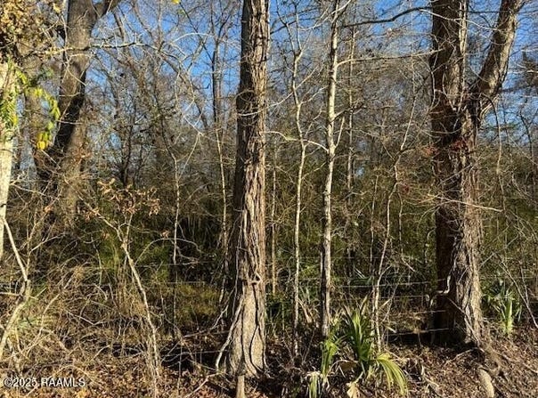 Heard Sylvester Road, Washington, LA 70589