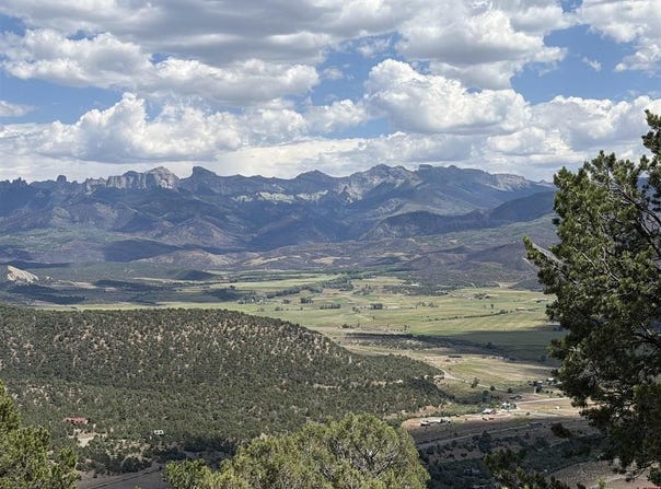 Pine Drive, Ridgway, CO 81432