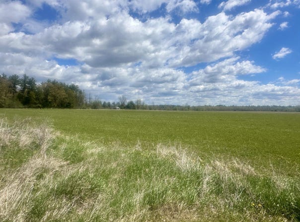 ALP Drive, PINE RIVER, WI 54965