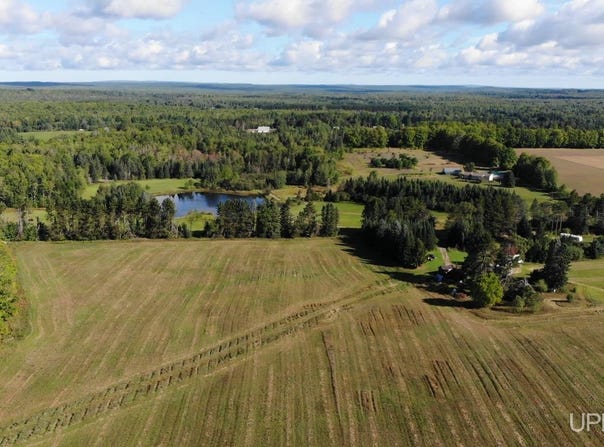 TBD 1 Strawberry Lane, Nisula, MI 49952