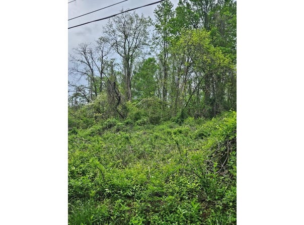 00 Euclid Ave, Marion, VA 24354
