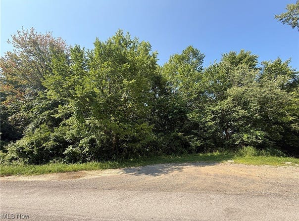 Connie Street, Steubenville, OH 43952