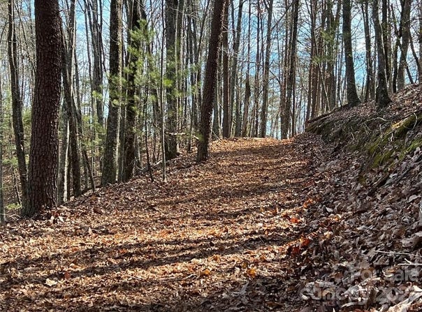 Taylorsville Road unit: Tract 2, Taylorsville, NC 28681