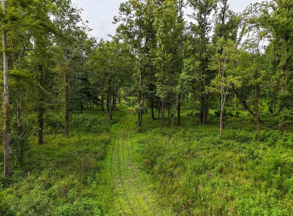 RODNEY BEND ROAD, LORMAN, MS 39096