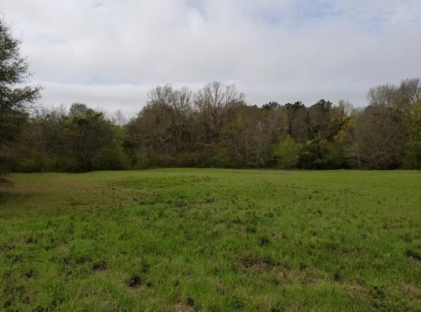 0 Suggs Road, Headland, AL 36345